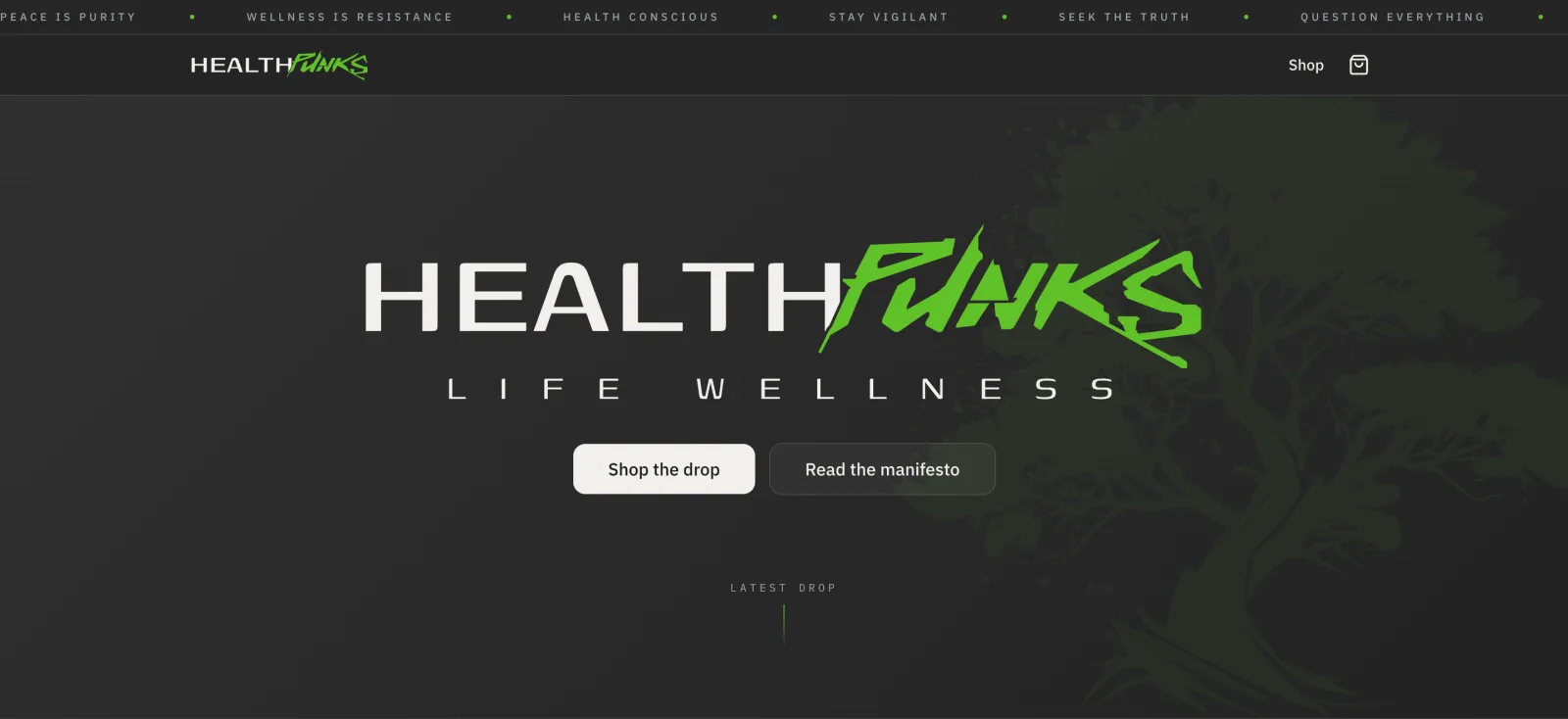 Healthpunks, a website built by Streator Solutions